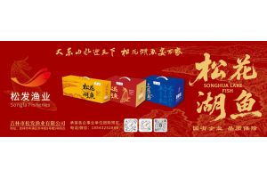 光大-20260306-松花湖鱼